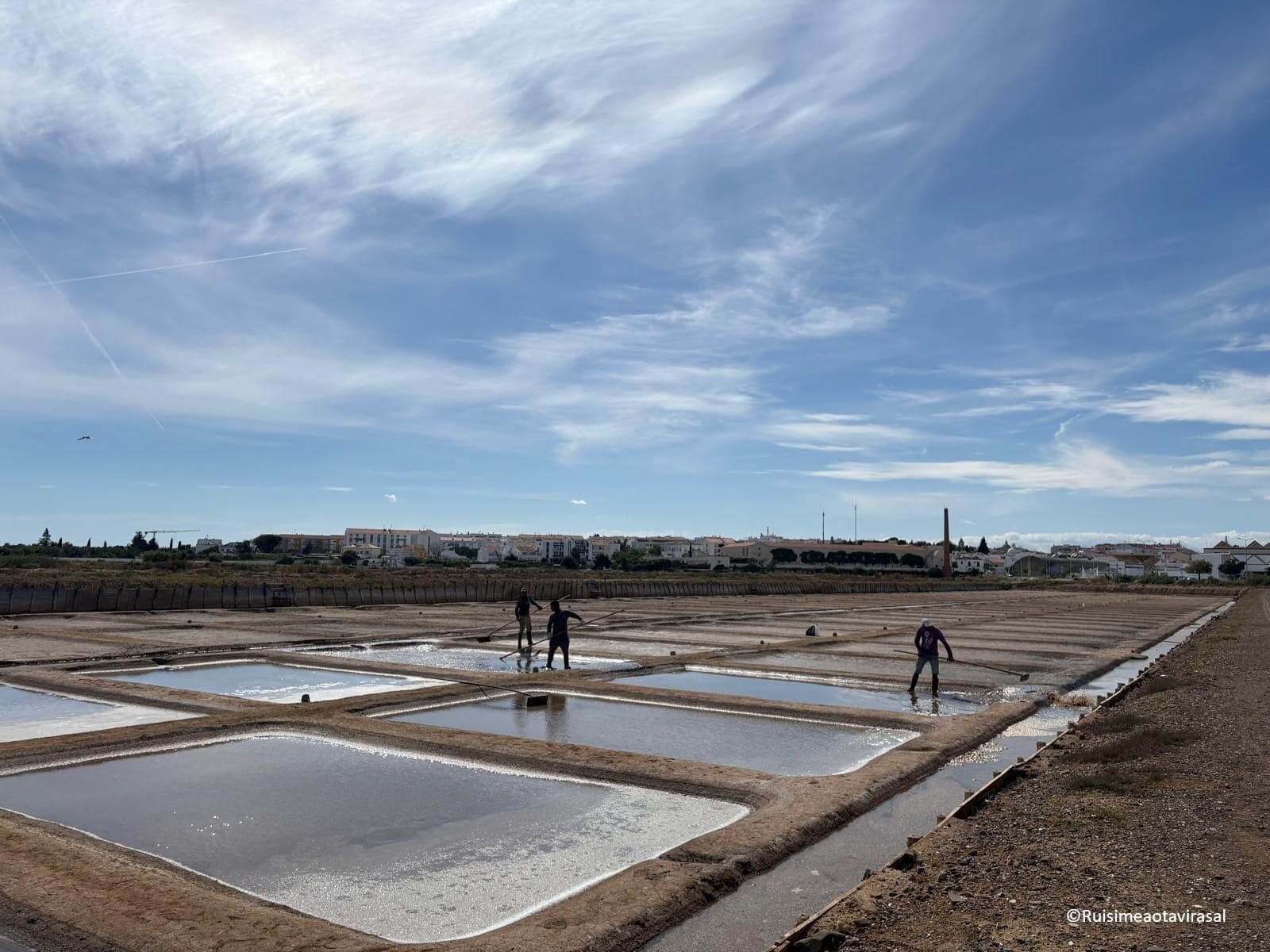 Flocks of pink flamingos wading through the shallow waters of the historic salt pans in Tavira